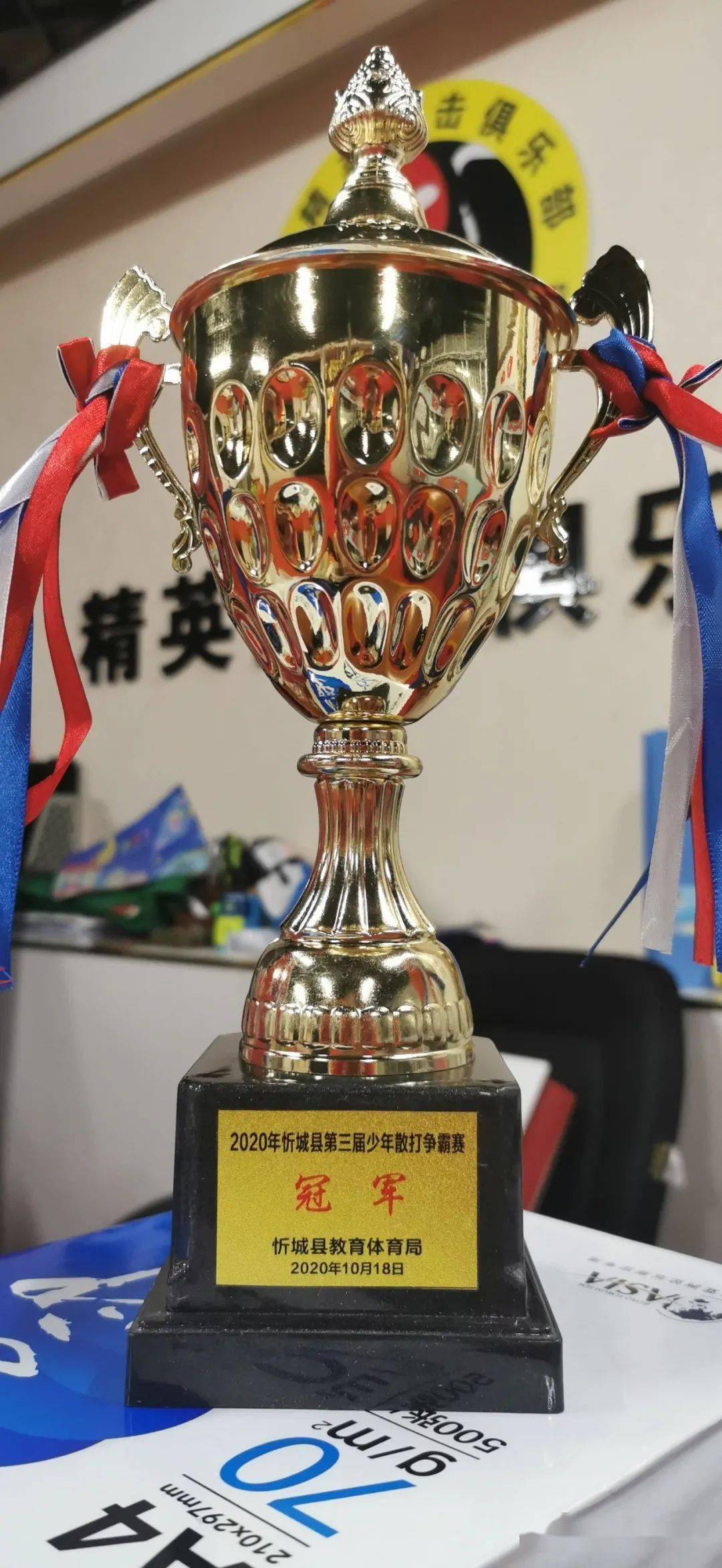 关于漓江山猫队击败荆楚雄鲨队，跆拳道小组赛上演裁判判罚引热议！全面提速抢占先机的信息